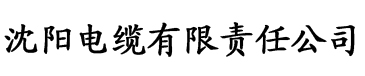 亚洲一区二区三区波多野在线观看电缆厂logo